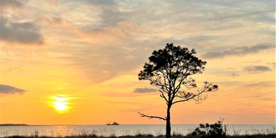Builder/Developer Opportunity in Sunset Village: Two Contiguous Coastal Homesites Near WindMark Beach