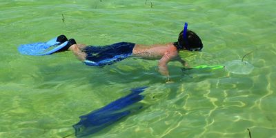 Scalloping in Gulf County: 2026 Season Dates, Rules, and Everything You Need to Know