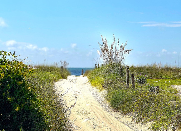 163 Treasure Dr: A Gulf View Lot Near Indian Pass