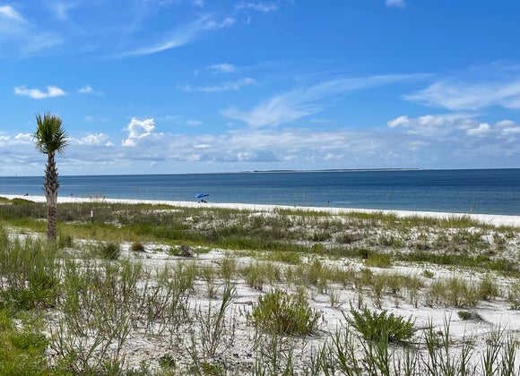 Buyers, Mexico Beach Florida Real Estate, Avoiding Common Mistakes, Coastal Living