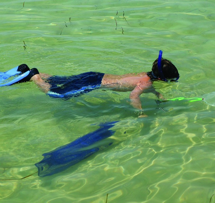 Your Ultimate Guide to Family-Friendly Scallop Season Adventures in St ...