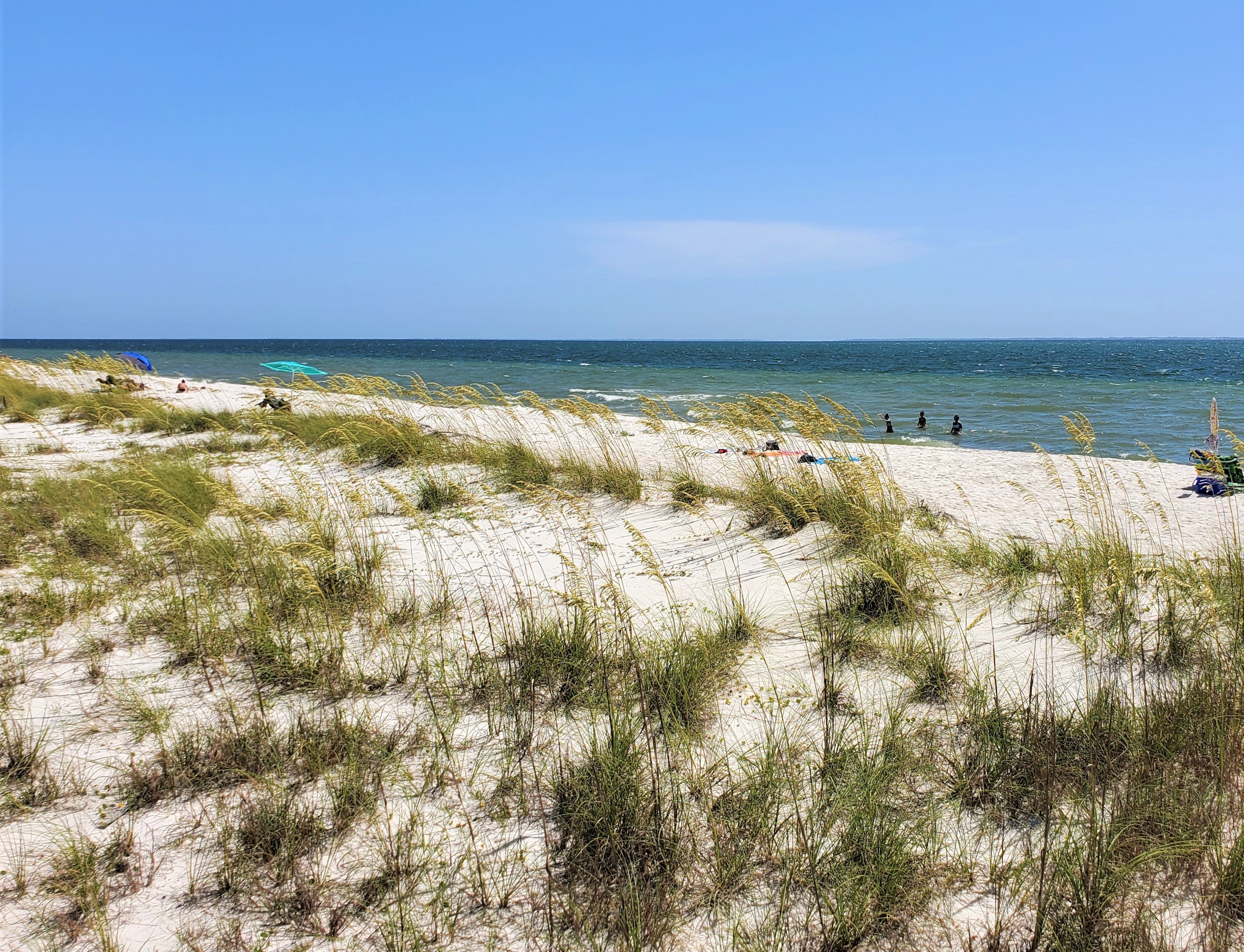 WindMark Beach Dunes