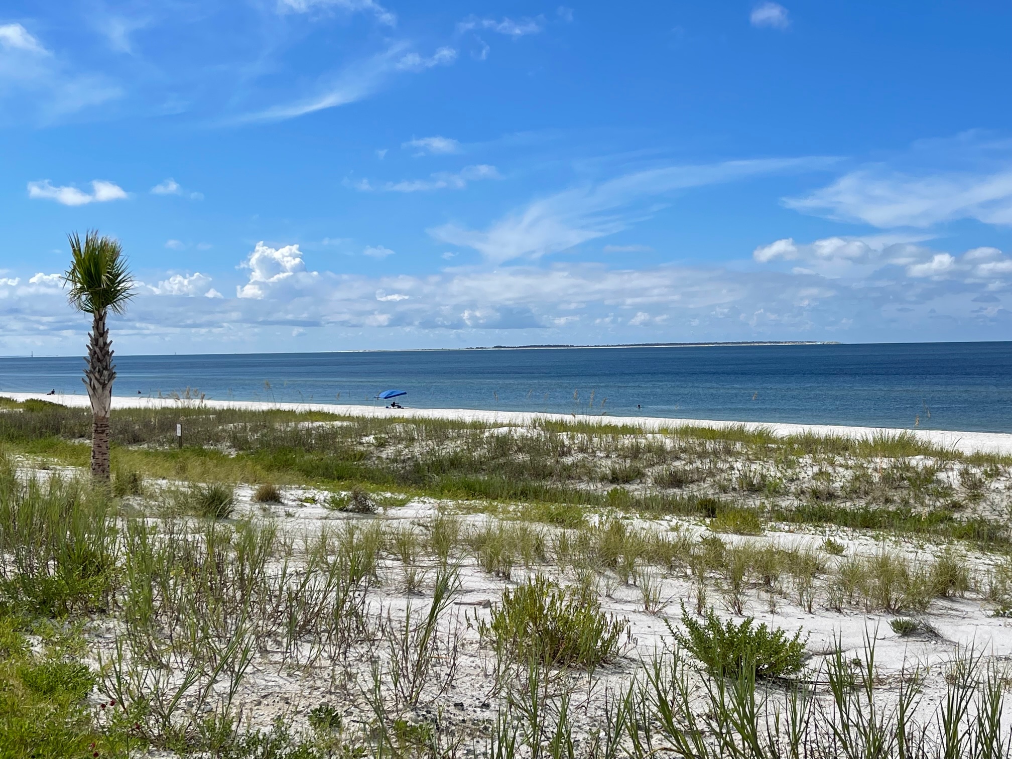 Buyers, Mexico Beach Florida Real Estate, Avoiding Common Mistakes, Coastal Living
